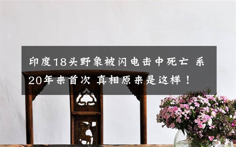 印度18头野象被闪电击中死亡 系20年来首次 真相原来是这样!