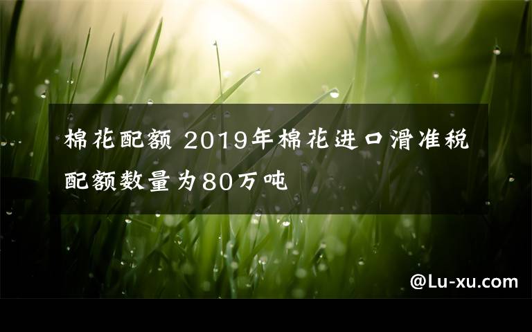 棉花配额 2019年棉花进口滑准税配额数量为80万吨
