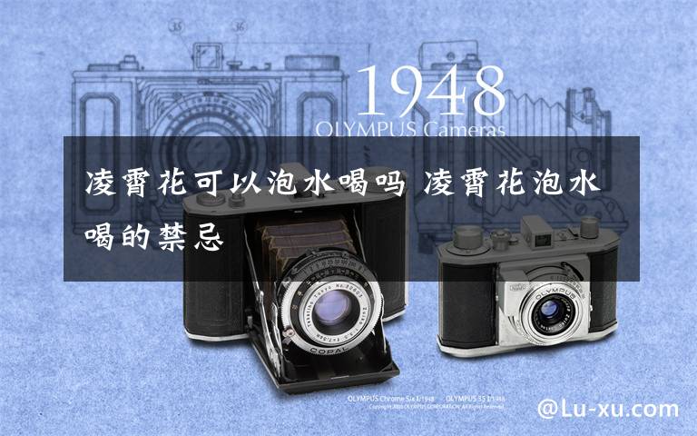 凌霄花可以泡水喝吗 凌霄花泡水喝的禁忌