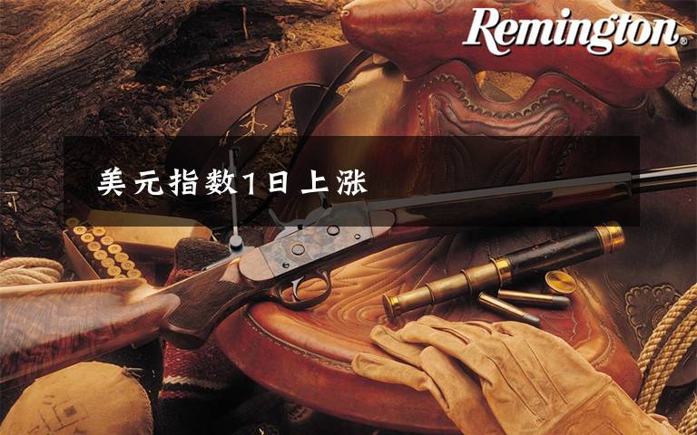  美元指数1日上涨