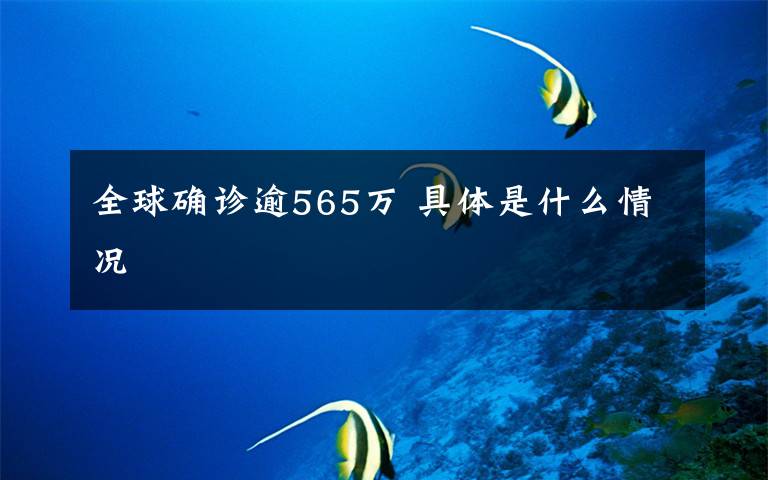 全球确诊逾565万 具体是什么情况