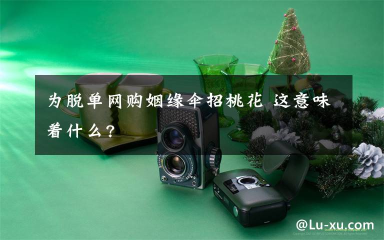 为脱单网购姻缘伞招桃花 这意味着什么?