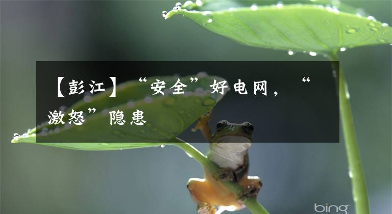 【彭江】“安全”好电网，“激怒”隐患