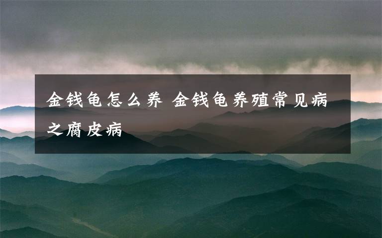 金钱龟怎么养 金钱龟养殖常见病之腐皮病