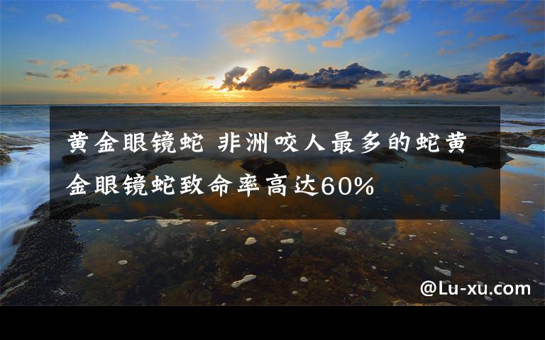 黄金眼镜蛇 非洲咬人最多的蛇黄金眼镜蛇致命率高达60%