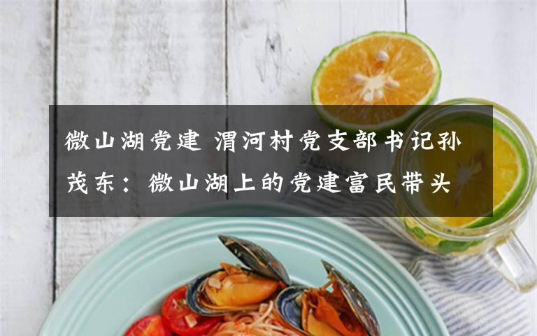 微山湖党建 渭河村党支部书记孙茂东:微山湖上的党建富民带头人