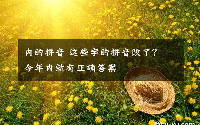 内的拼音 这些字的拼音改了? 今年内就有正确答案
