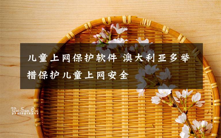 儿童上网保护软件 澳大利亚多举措保护儿童上网安全