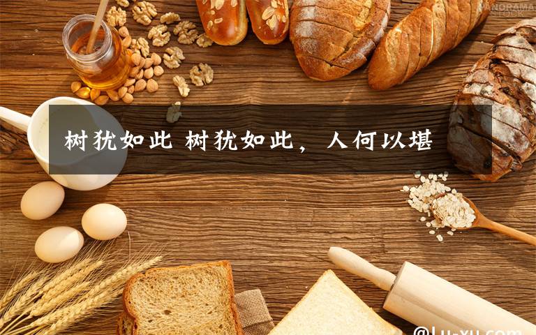 树犹如此 树犹如此,人何以堪