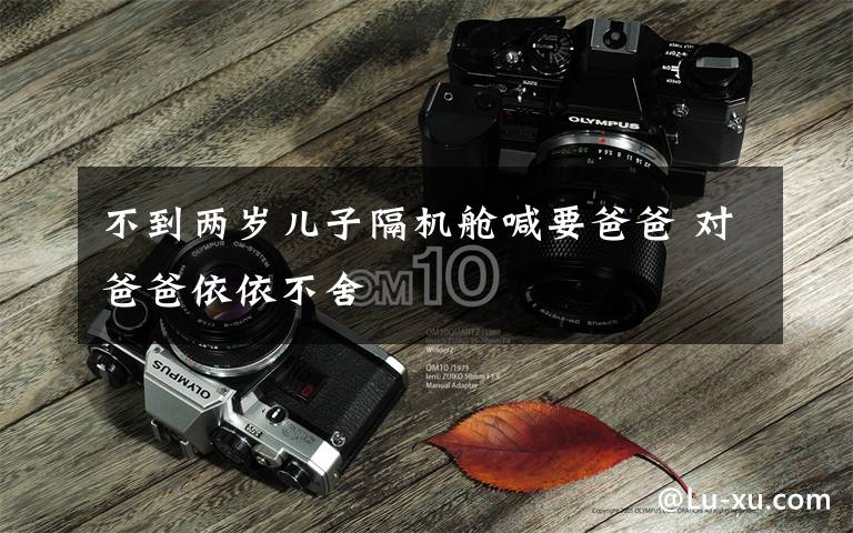 不到两岁儿子隔机舱喊要爸爸 对爸爸依依不舍