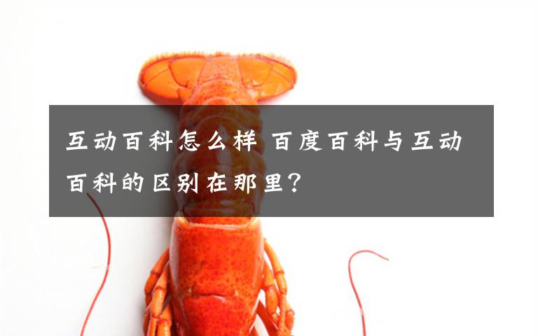 互动百科怎么样 百度百科与互动百科的区别在那里?