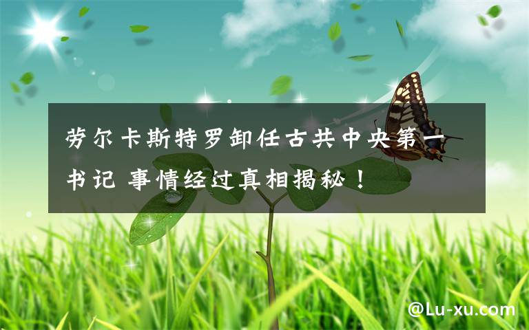 劳尔卡斯特罗卸任古共中央第一书记 事情经过真相揭秘!