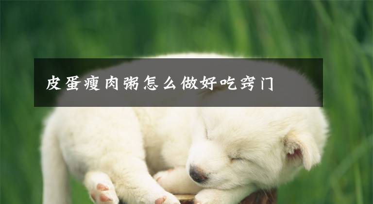 皮蛋瘦肉粥怎么做好吃窍门