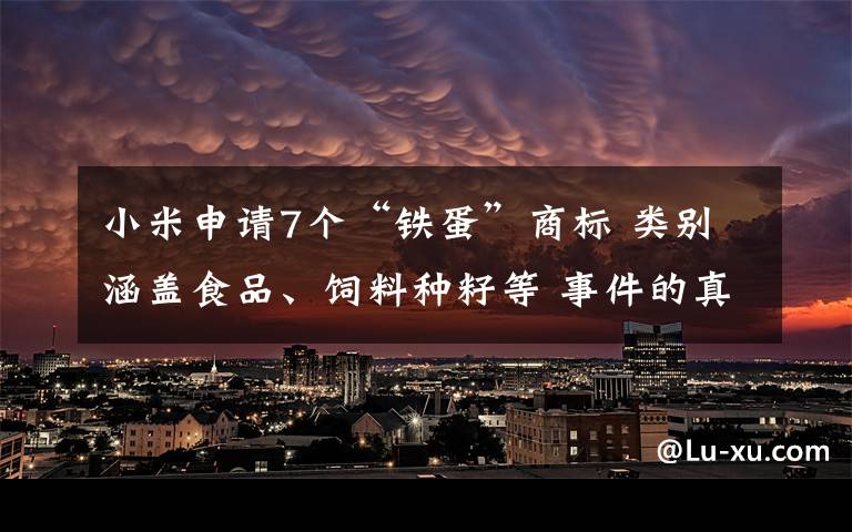 小米申请7个“铁蛋”商标 类别涵盖食品、饲料种籽等 事件的真相是什么?