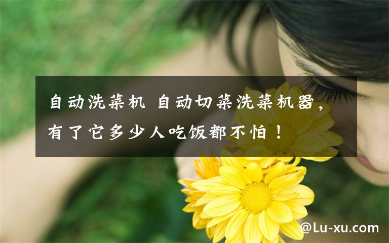 自动洗菜机 自动切菜洗菜机器,有了它多少人吃饭都不怕!