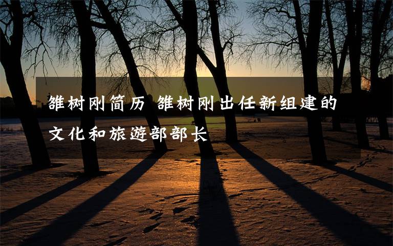 雒树刚简历 雒树刚出任新组建的文化和旅游部部长