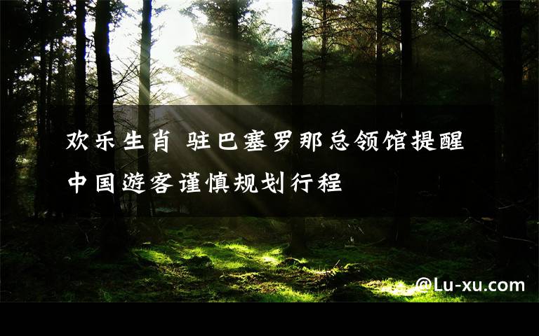 欢乐生肖 驻巴塞罗那总领馆提醒中国游客谨慎规划行程