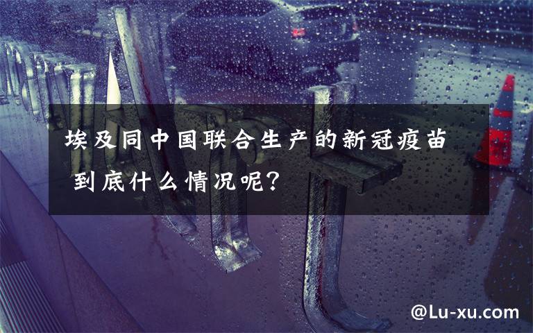 埃及同中国联合生产的新冠疫苗 到底什么情况呢?