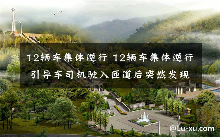 12辆车集体逆行 12辆车集体逆行 引导车司机驶入匝道后突然发现路线错误