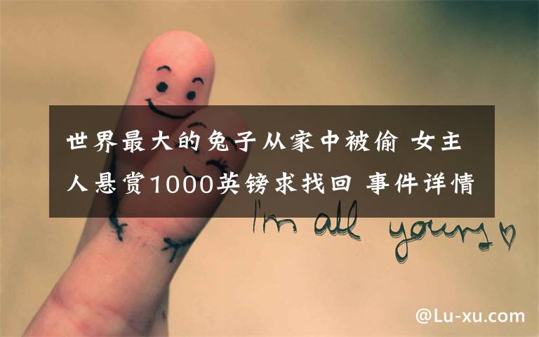 世界最大的兔子从家中被偷 女主人悬赏1000英镑求找回 事件详情始末介绍!