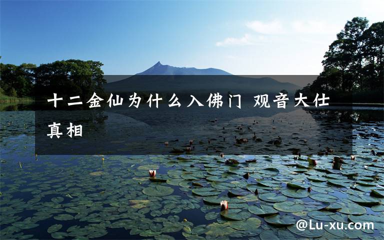 十二金仙为什么入佛门 观音大仕真相