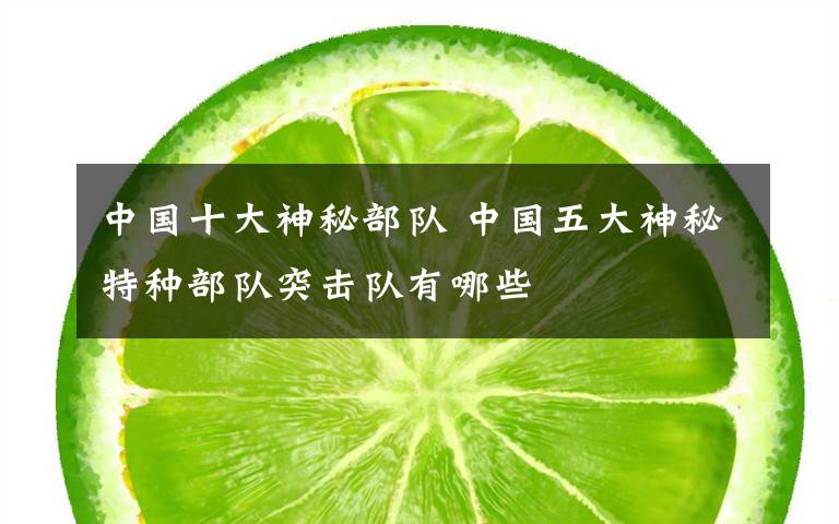 中国十大神秘部队 中国五大神秘特种部队突击队有哪些