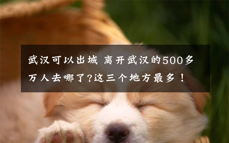 武汉可以出城 离开武汉的500多万人去哪了?这三个地方最多！