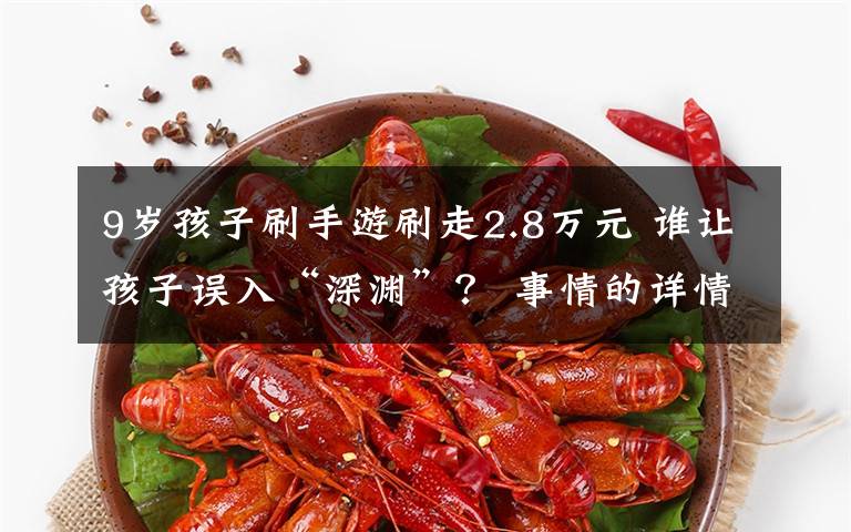 9岁孩子刷手游刷走2.8万元 谁让孩子误入“深渊”? 事情的详情始末是怎么样了!