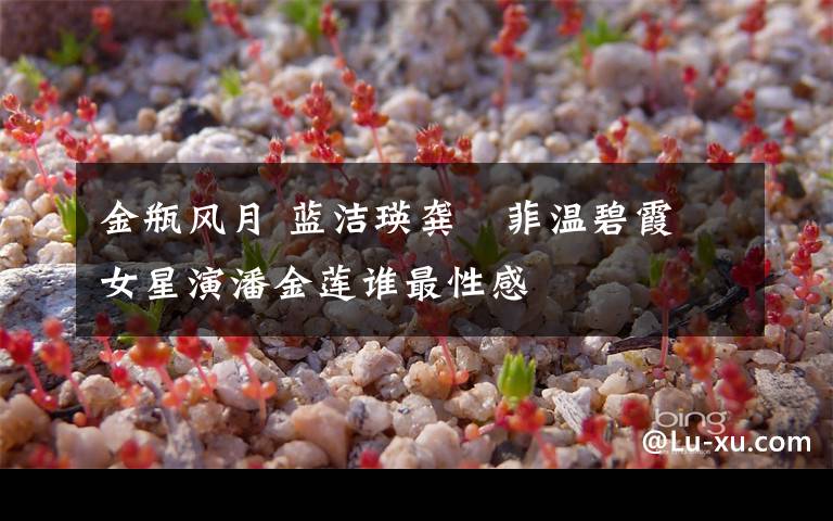 金瓶风月 蓝洁瑛龚玥菲温碧霞 女星演潘金莲谁最性感