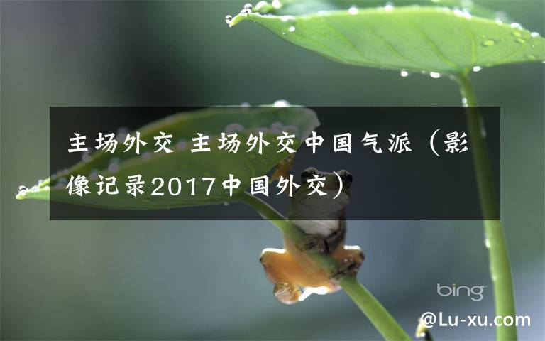 主场外交 主场外交中国气派（影像记录2017中国外交）