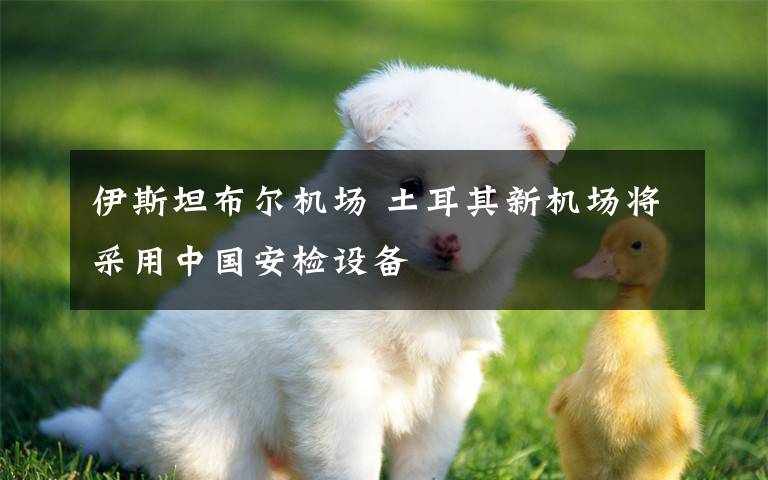 伊斯坦布尔机场 土耳其新机场将采用中国安检设备