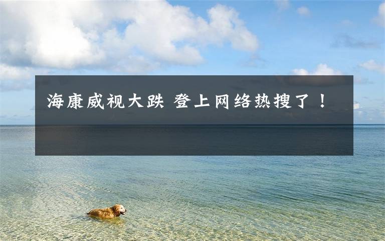 海康威视大跌 登上网络热搜了!