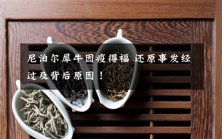 尼泊尔犀牛因疫得福 还原事发经过及背后原因!