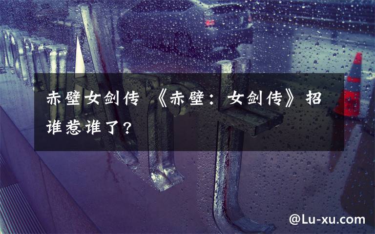 赤壁女剑传 《赤壁：女剑传》招谁惹谁了?