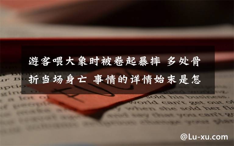 游客喂大象时被卷起暴摔 多处骨折当场身亡 事情的详情始末是怎么样了!