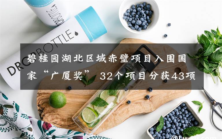 碧桂园湖北区域赤壁项目入围国家“广厦奖” 32个项目分获43项年度省市标杆观摩优质示范奖