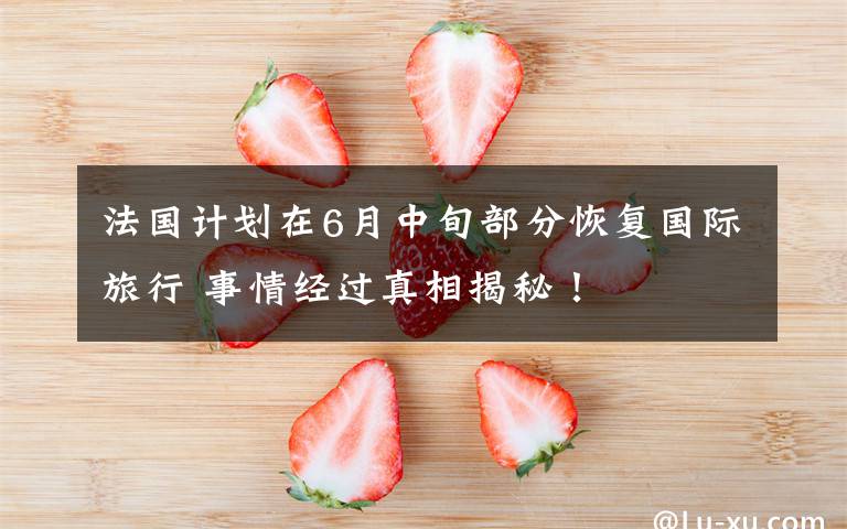 法国计划在6月中旬部分恢复国际旅行 事情经过真相揭秘！