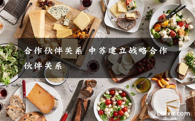 合作伙伴关系 中苏建立战略合作伙伴关系