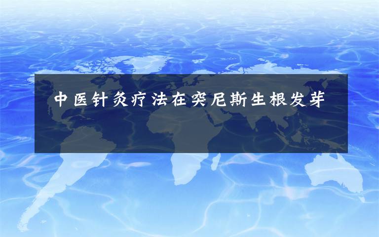  中医针灸疗法在突尼斯生根发芽