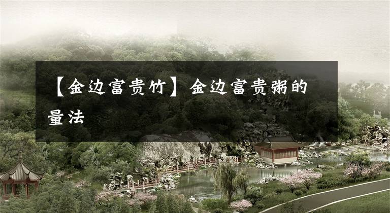 【金边富贵竹】金边富贵粥的量法