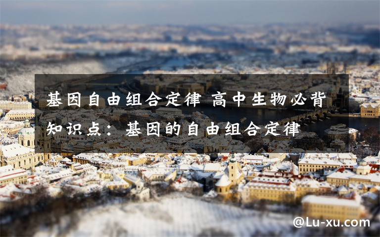 基因自由组合定律 高中生物必背知识点:基因的自由组合定律