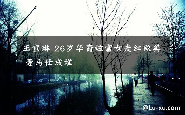 王宣琳 26岁华裔炫富女走红欧美 爱马仕成堆