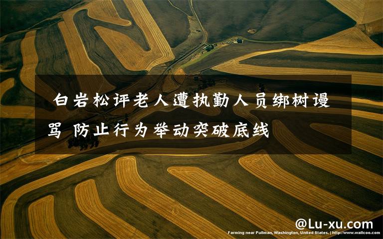 白岩松评老人遭执勤人员绑树谩骂 防止行为举动突破底线