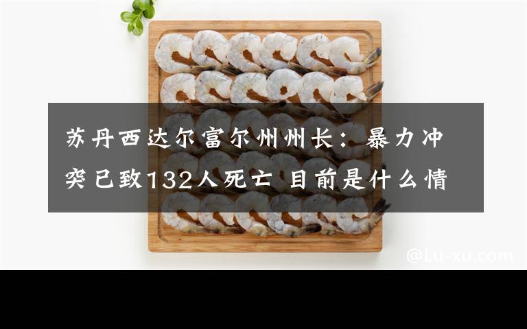 苏丹西达尔富尔州州长：暴力冲突已致132人死亡 目前是什么情况？