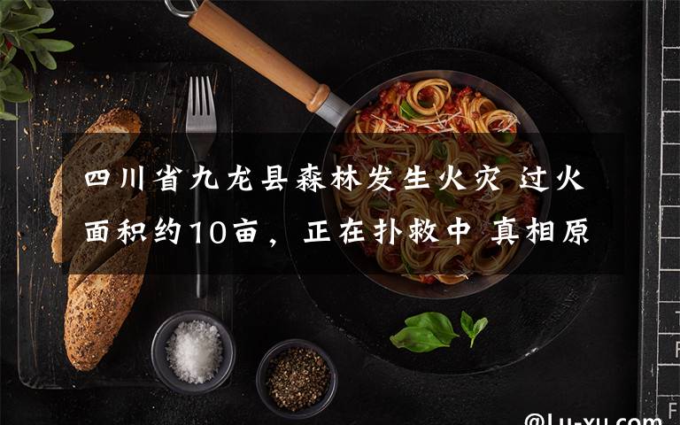四川省九龙县森林发生火灾 过火面积约10亩,正在扑救中 真相原来是这样!