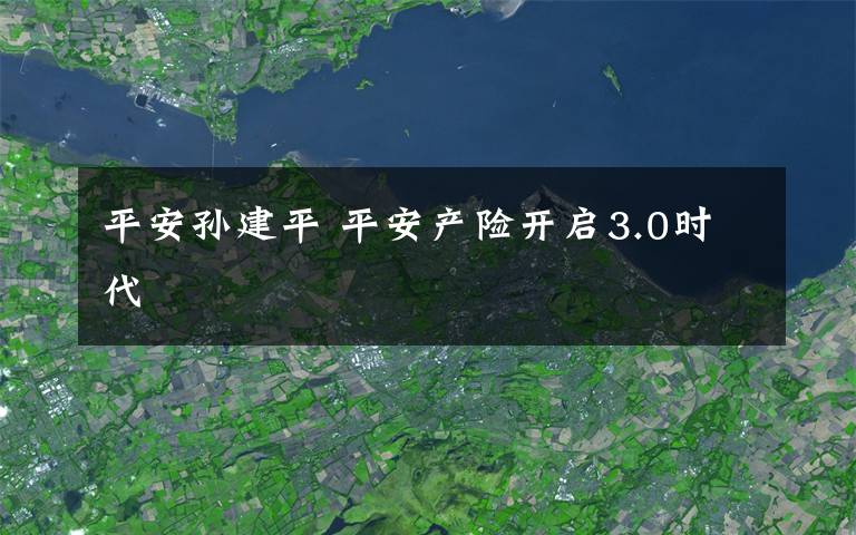 平安孙建平 平安产险开启3.0时代