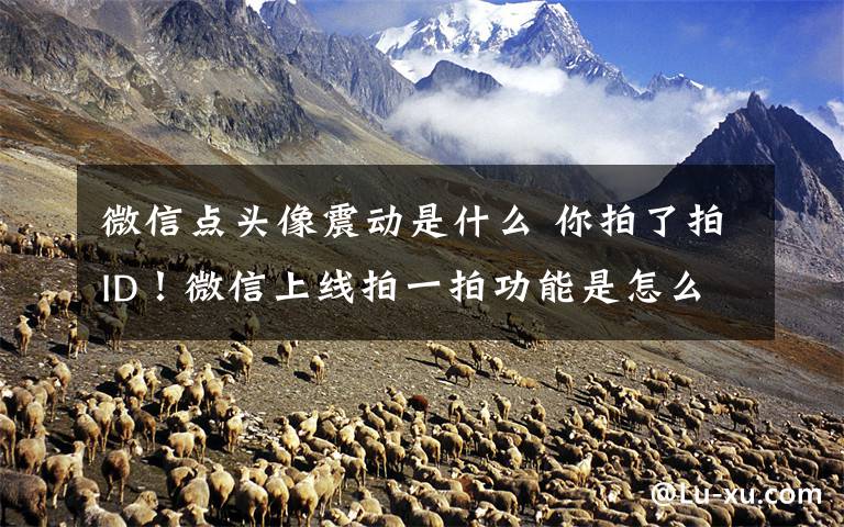 微信点头像震动是什么 你拍了拍ID!微信上线拍一拍功能是怎么回事?iOS版微信双击好友头像会抖动