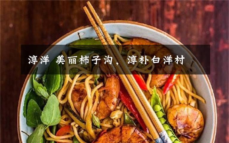 淳洋 美丽柿子沟,淳朴白洋村