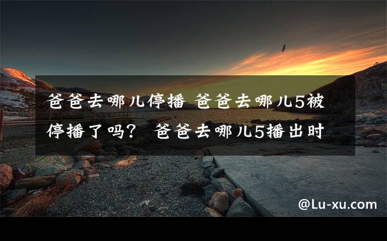 爸爸去哪儿停播 爸爸去哪儿5被停播了吗？ 爸爸去哪儿5播出时间及嘉宾名单