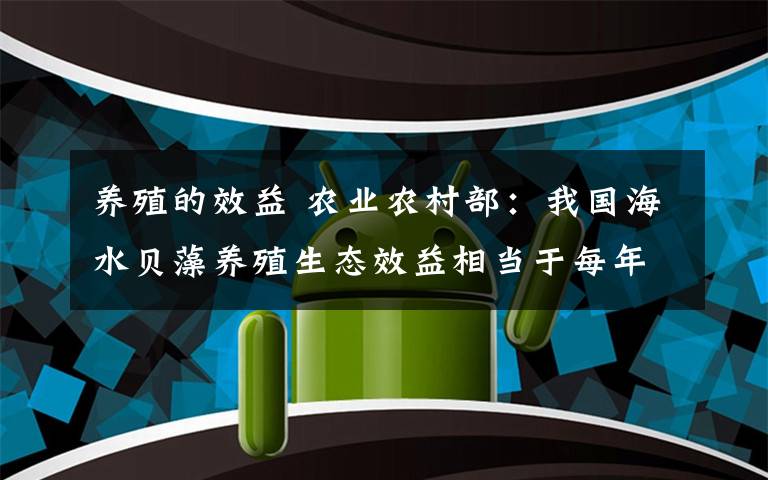 养殖的效益 农业农村部:我国海水贝藻养殖生态效益相当于每年造林50万公顷